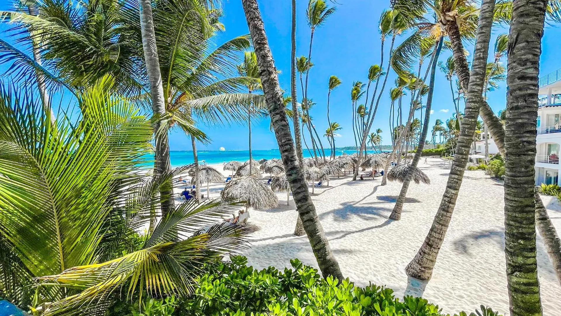 Studios Suites Rooftop Pool Ducassi Hotel Bavaro Beach Club & Spa Punta Cana